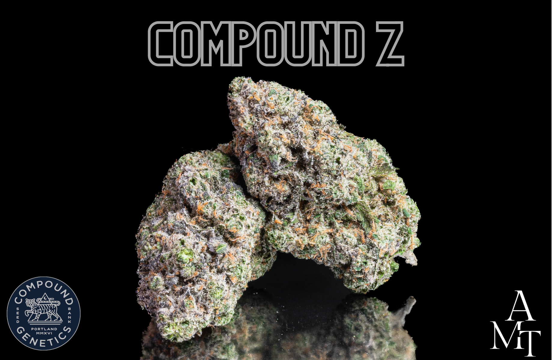 Compound Z กัญชาคุณภาพ